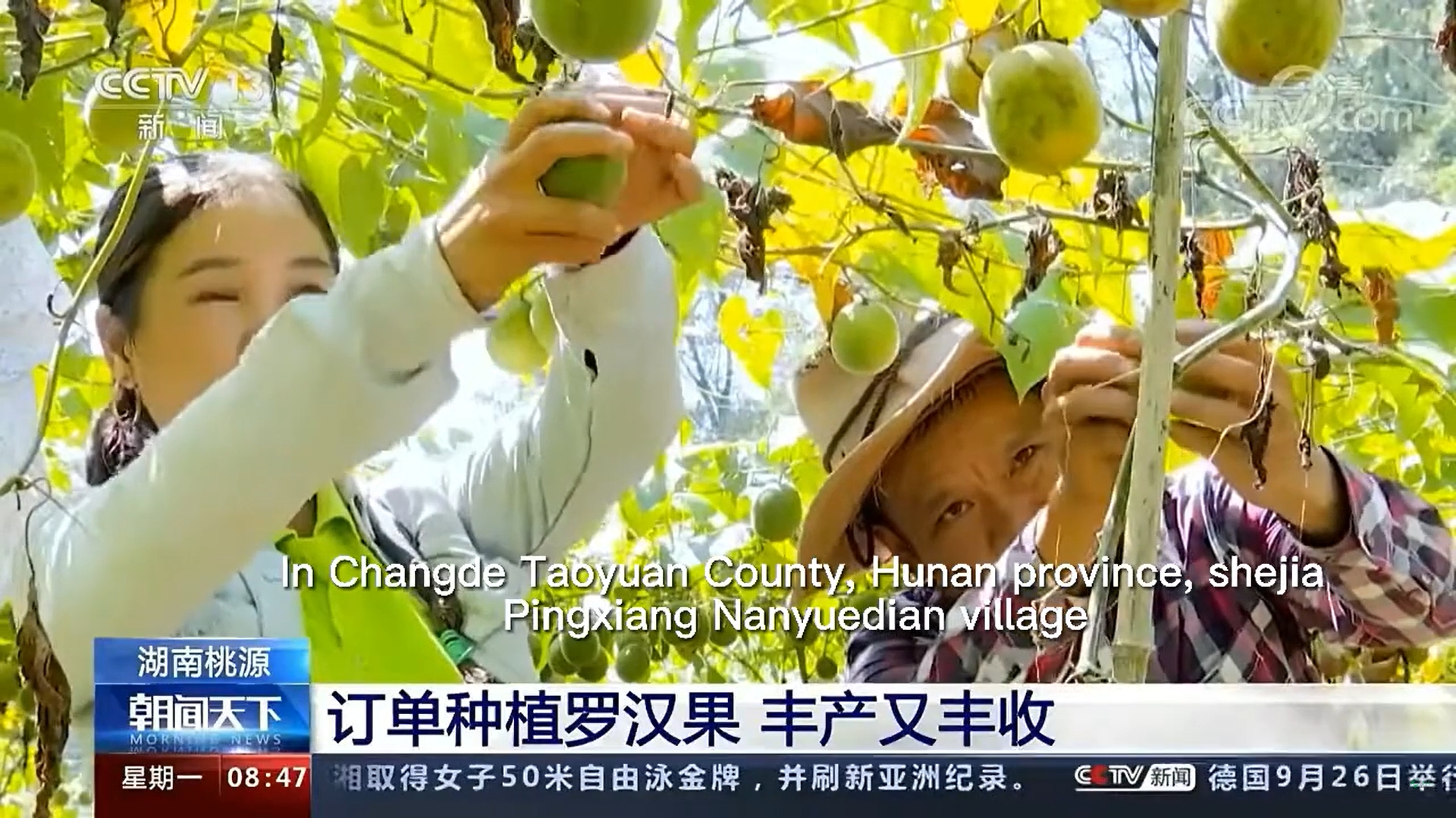 CCTV reported our monk fruit planting base