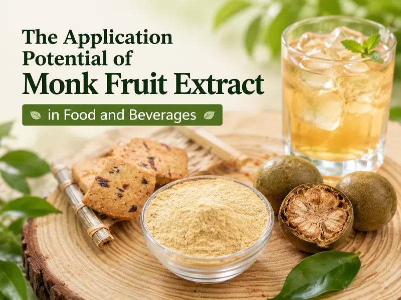 The Application Potential of Monk Fruit Extract in Food and Beverages