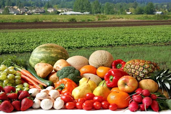 What are the reasons for the increasing popularity of organic foods?