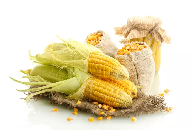 Corn silk has the magical effect of lowering sugar?