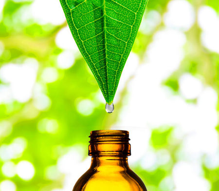 plant extract products with health care functions