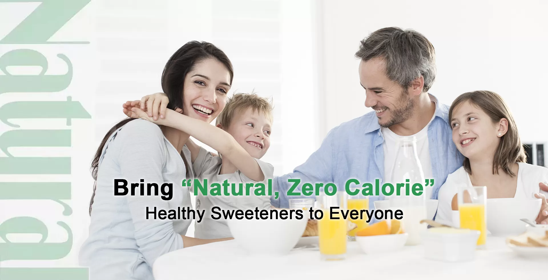 A Natural Sugar Substitute and Novel Food Ingredient: Stevia Extract